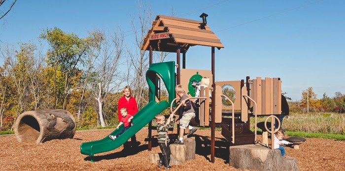 Tan and green playground structure.