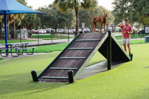 dog on top of ramp in park with K9 Grass